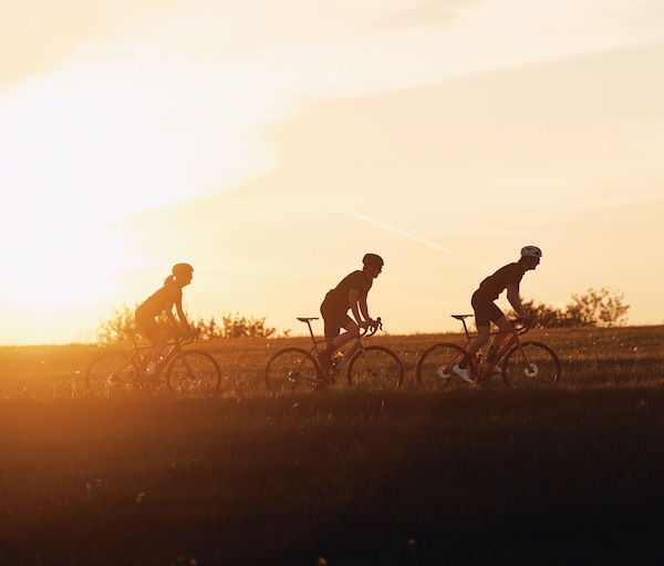 Explore our Bikes