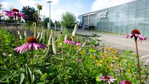 biodiversität_image2