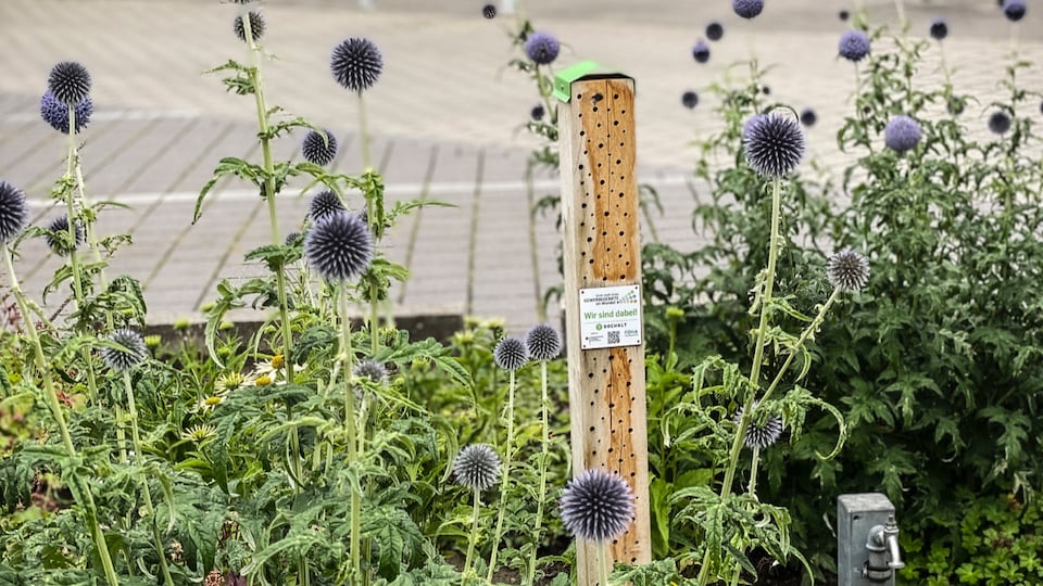 Bee hotel