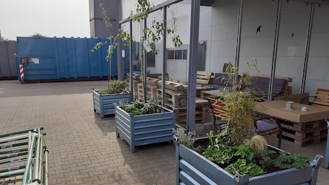 biodiversität_image10