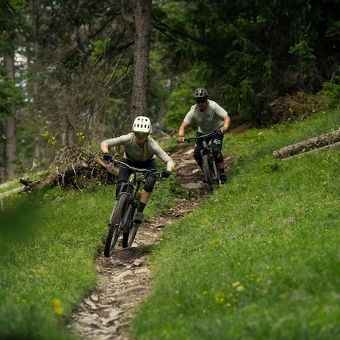 mtb-ratgeber_banner_slider_RM+_MOB